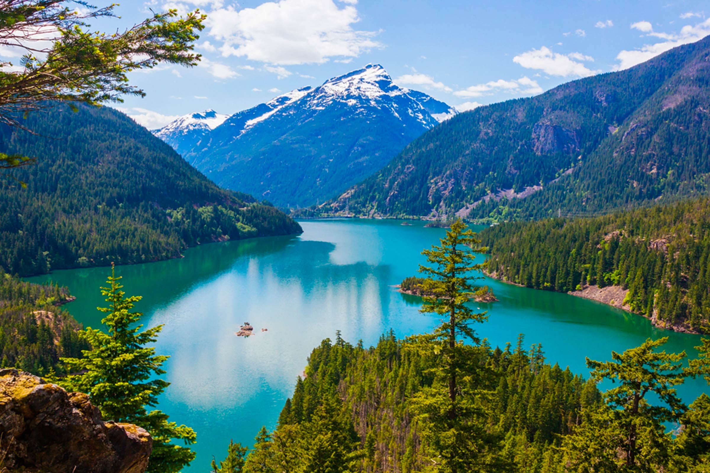 Explore 12 National Parks Perfect for Traveling with Your Dog