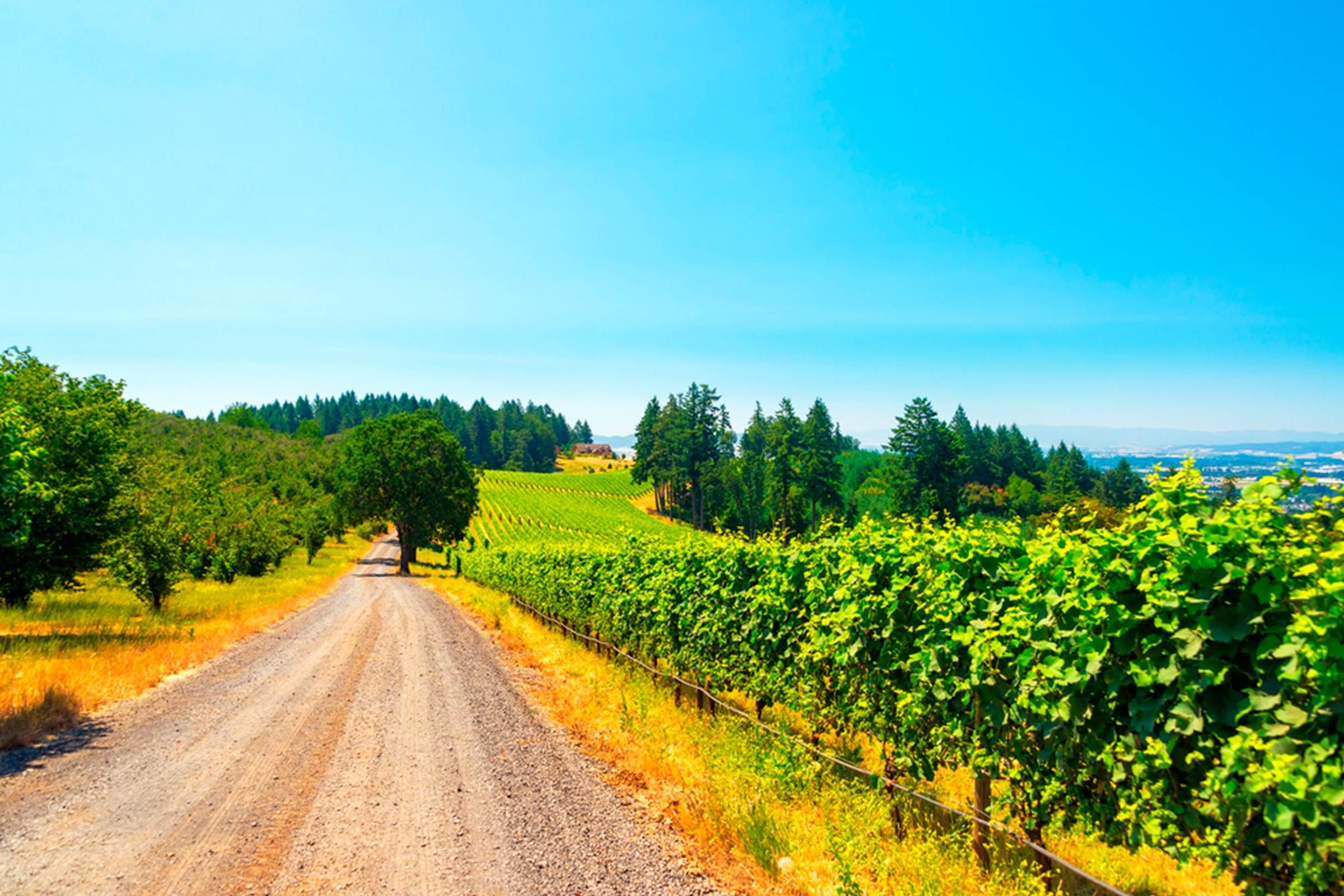 Top Romantic Small Town Honeymoon Spots Across the U.S.