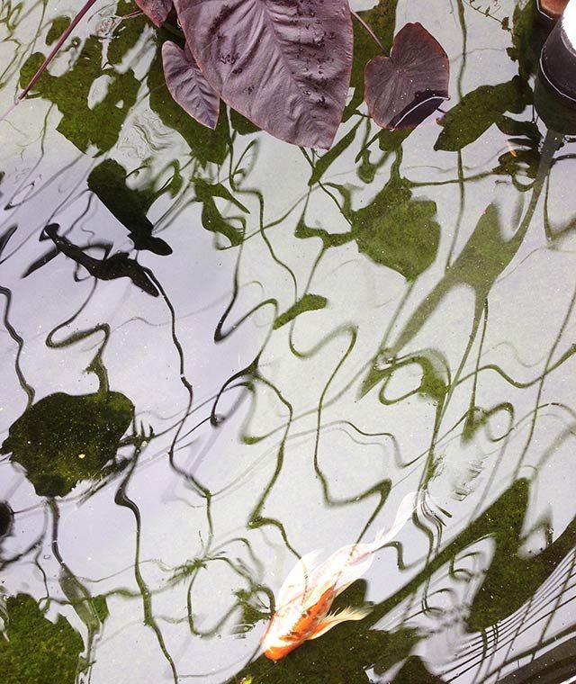 11 Stunning U.S. Landscapes Captured in Photographs