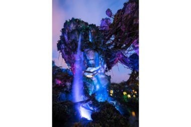 12 Insider Secrets to Make the Most of Disney’s New Pandora Park