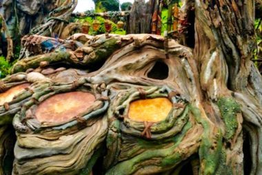 12 Insider Secrets to Make the Most of Disney’s New Pandora Park