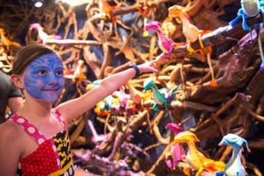 12 Insider Secrets to Make the Most of Disney’s New Pandora Park