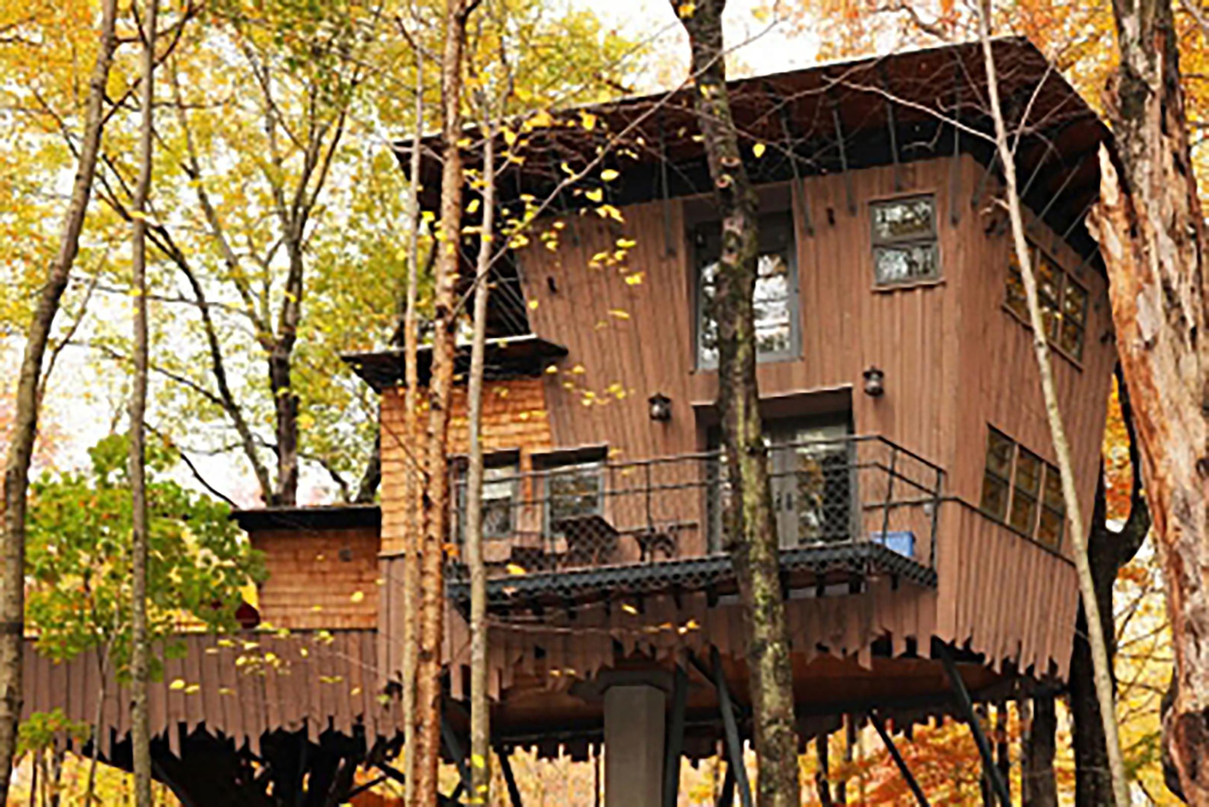 Explore 9 Enchanting Treehouse Rentals for a Memorable Summer Getaway
