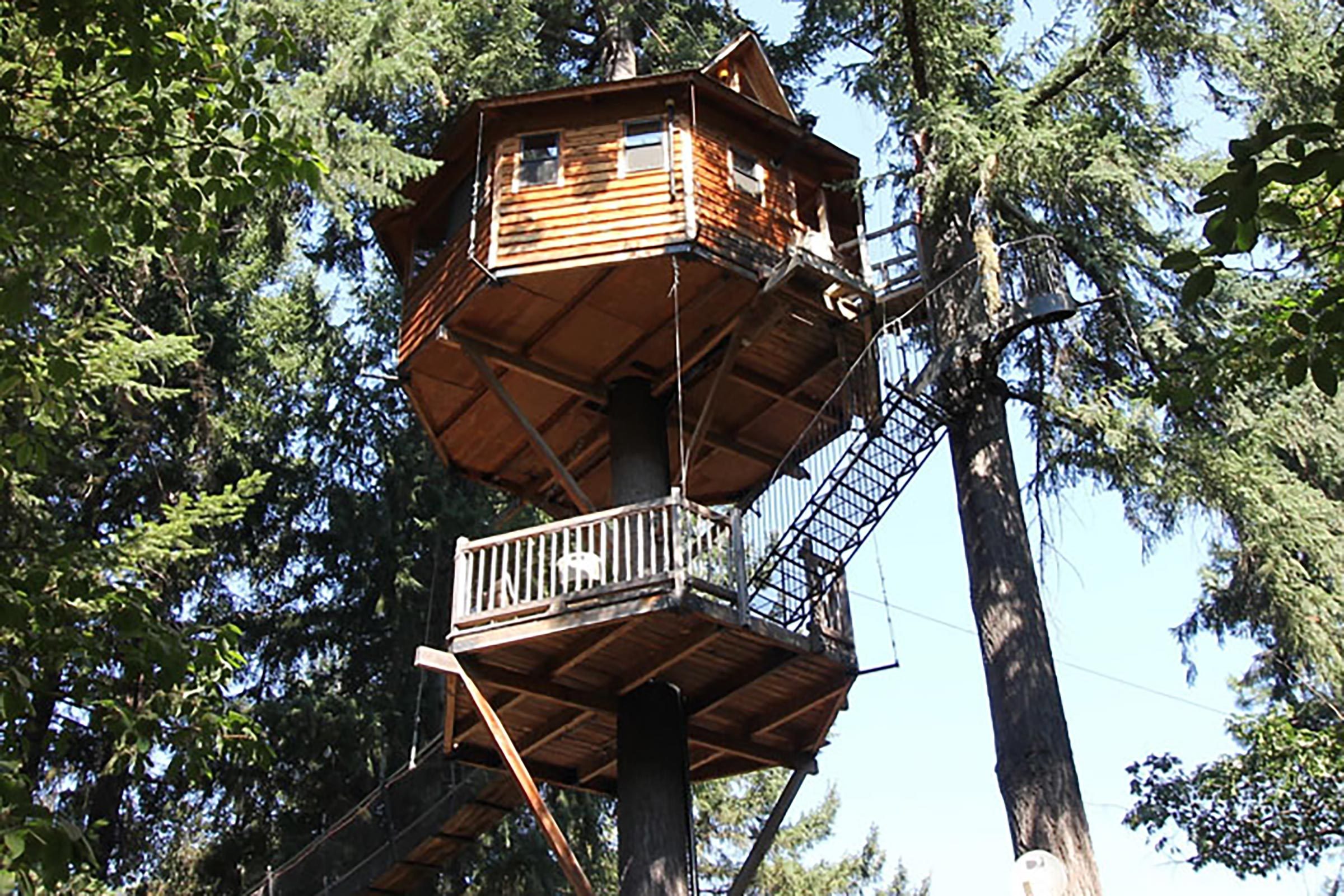 Explore 9 Enchanting Treehouse Rentals for a Memorable Summer Getaway