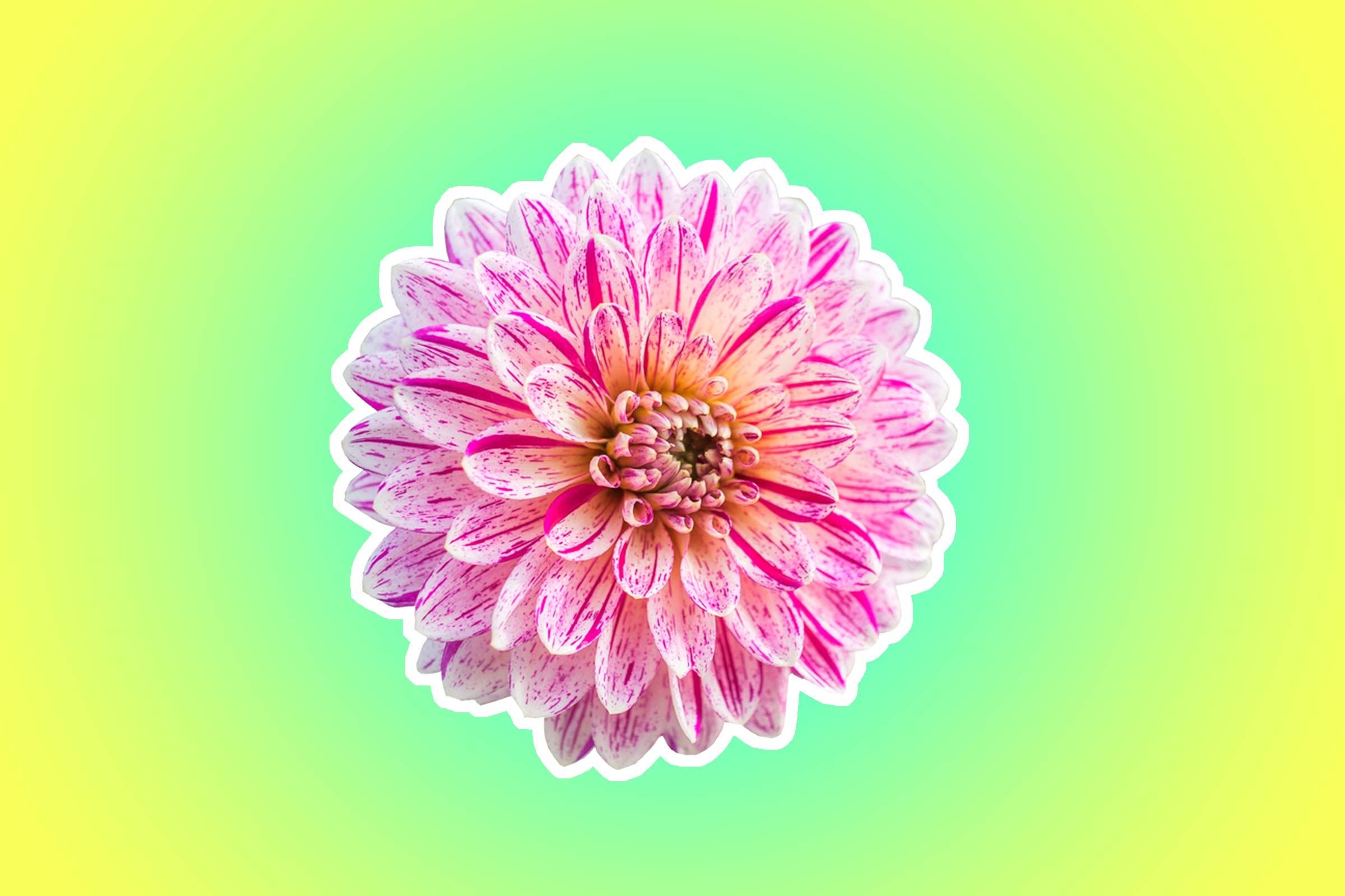 Mom Bloggers Reveal 18 Must‑Have Hacks for Stress‑Free Family Travel