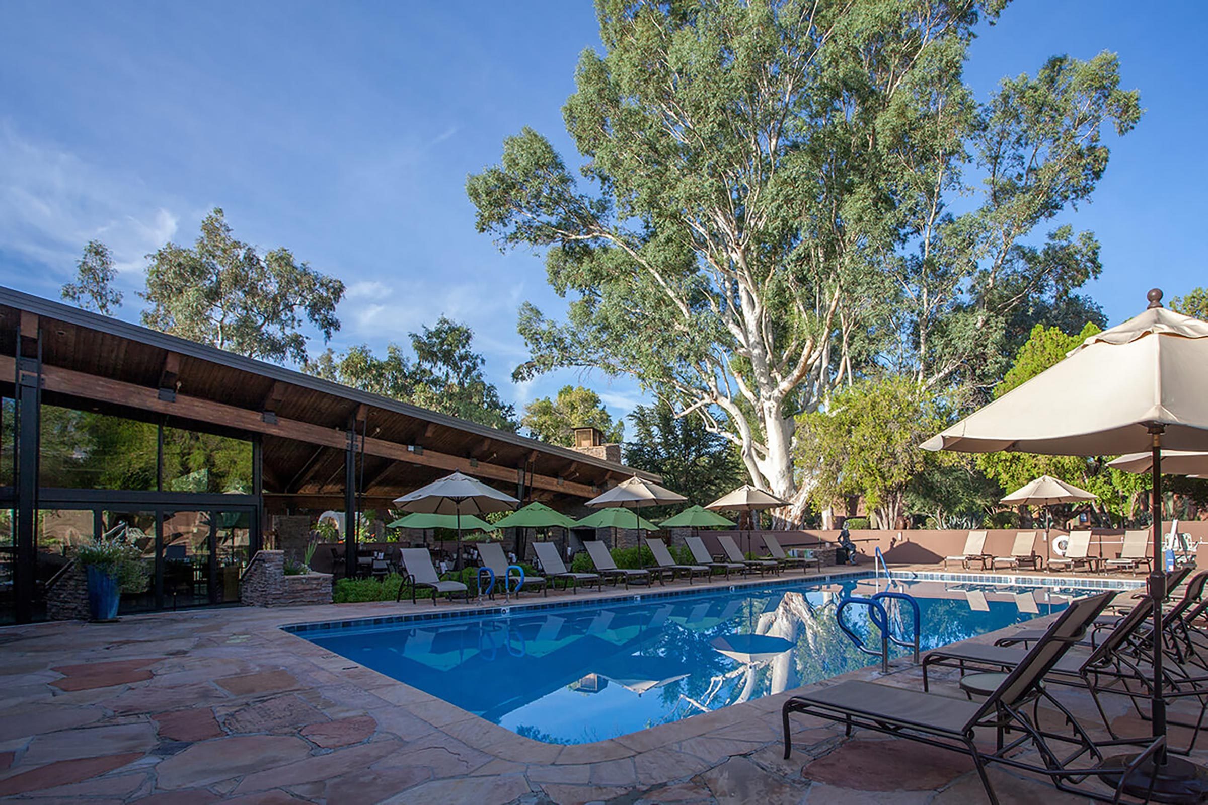 Top 9 Wellness Resorts for the Ultimate Healthy Summer Escape