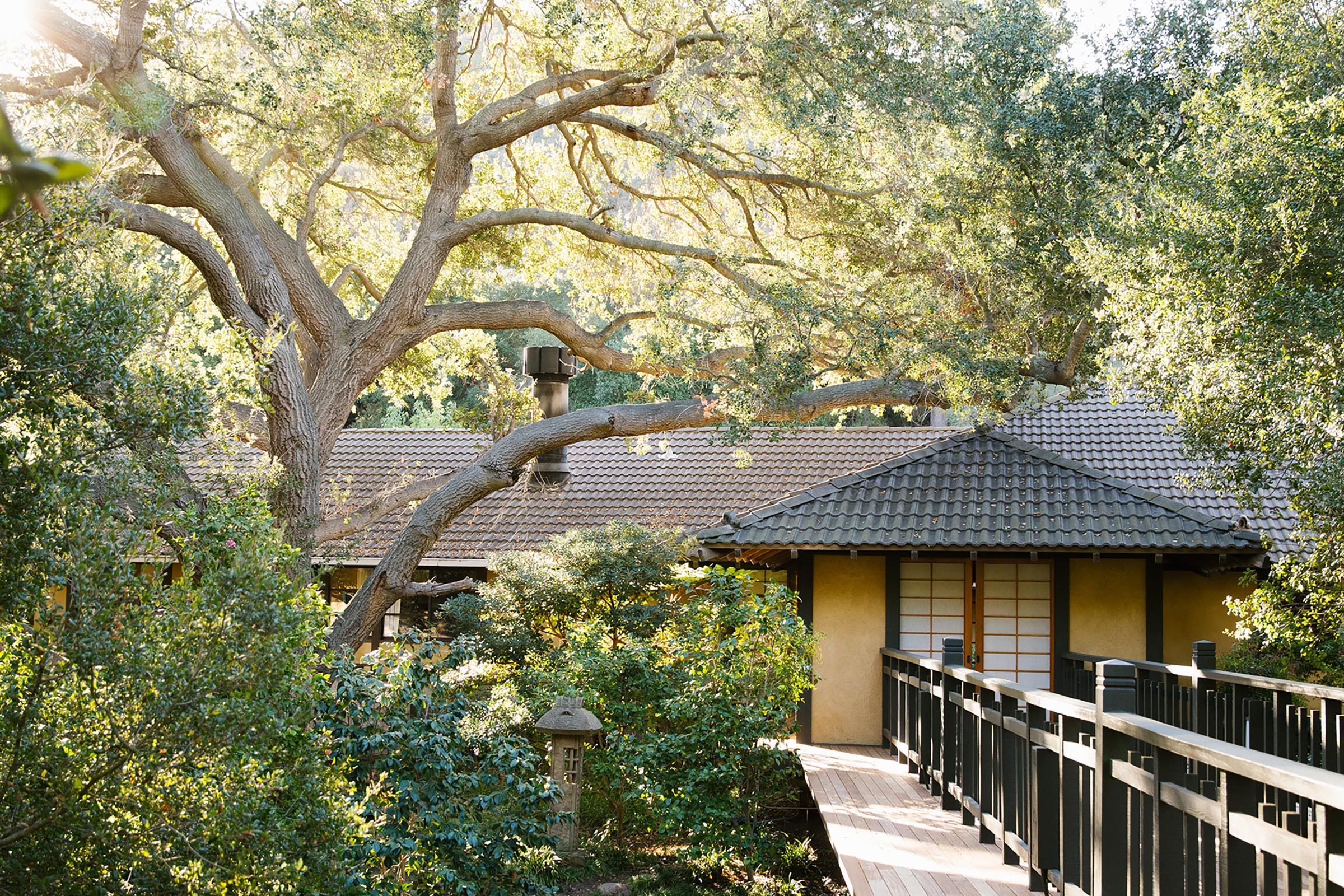 Top 9 Wellness Resorts for the Ultimate Healthy Summer Escape