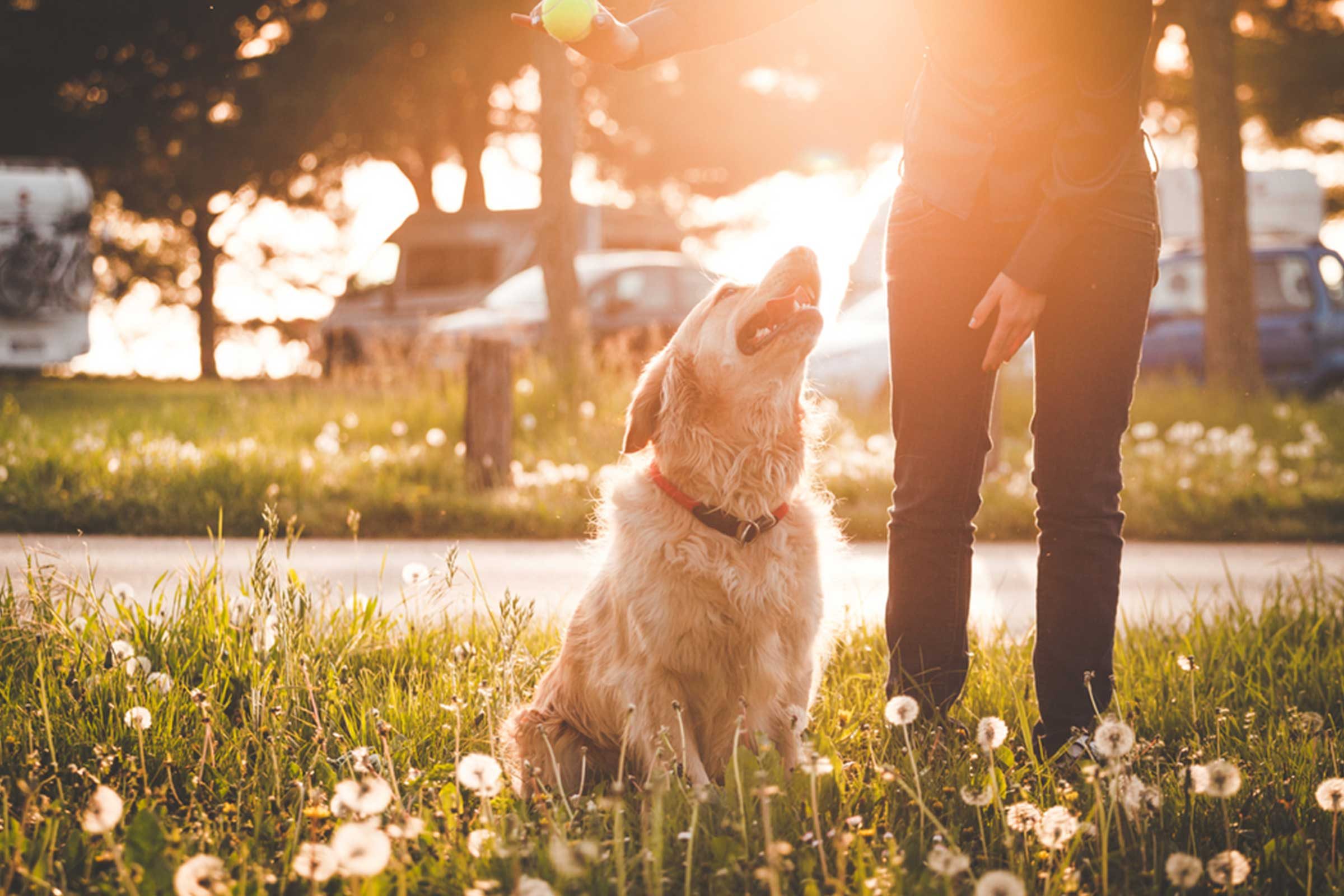 8 Proven GPS Tracking Solutions for Every Need