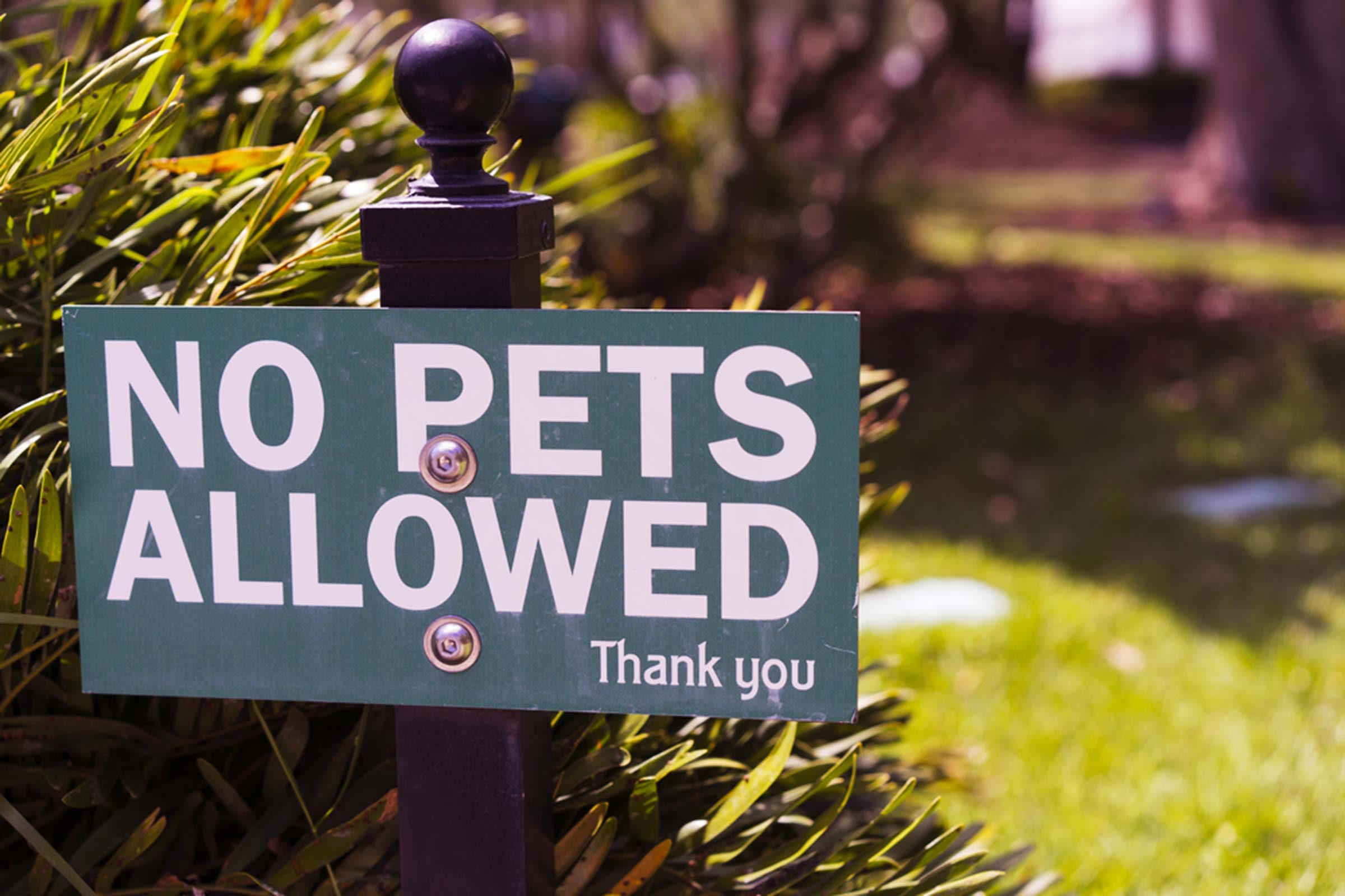 10 Essential Legal and Practical Tips for Renting Your Home on Airbnb