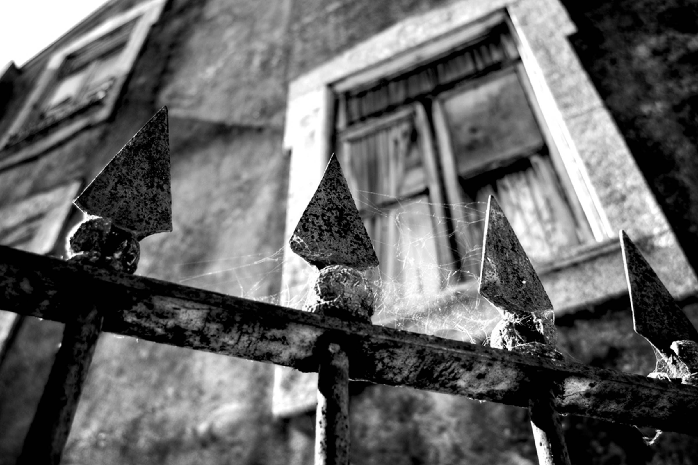 Beyond Apple Picking: 6 Must‑Try Fall Activities