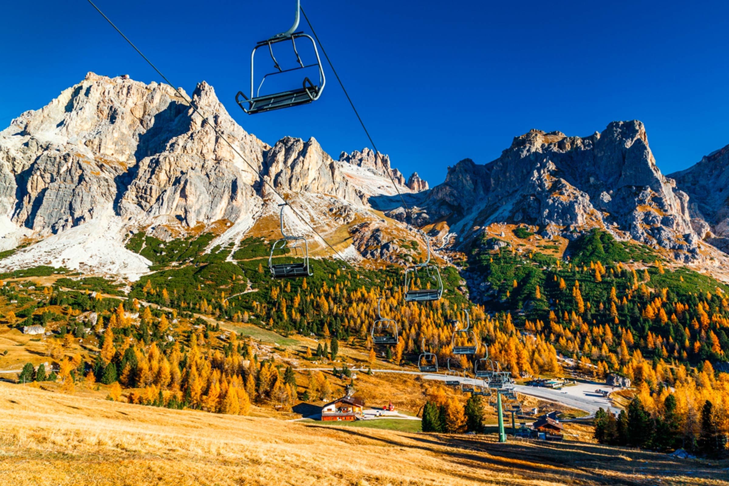 Beyond Apple Picking: 6 Must‑Try Fall Activities