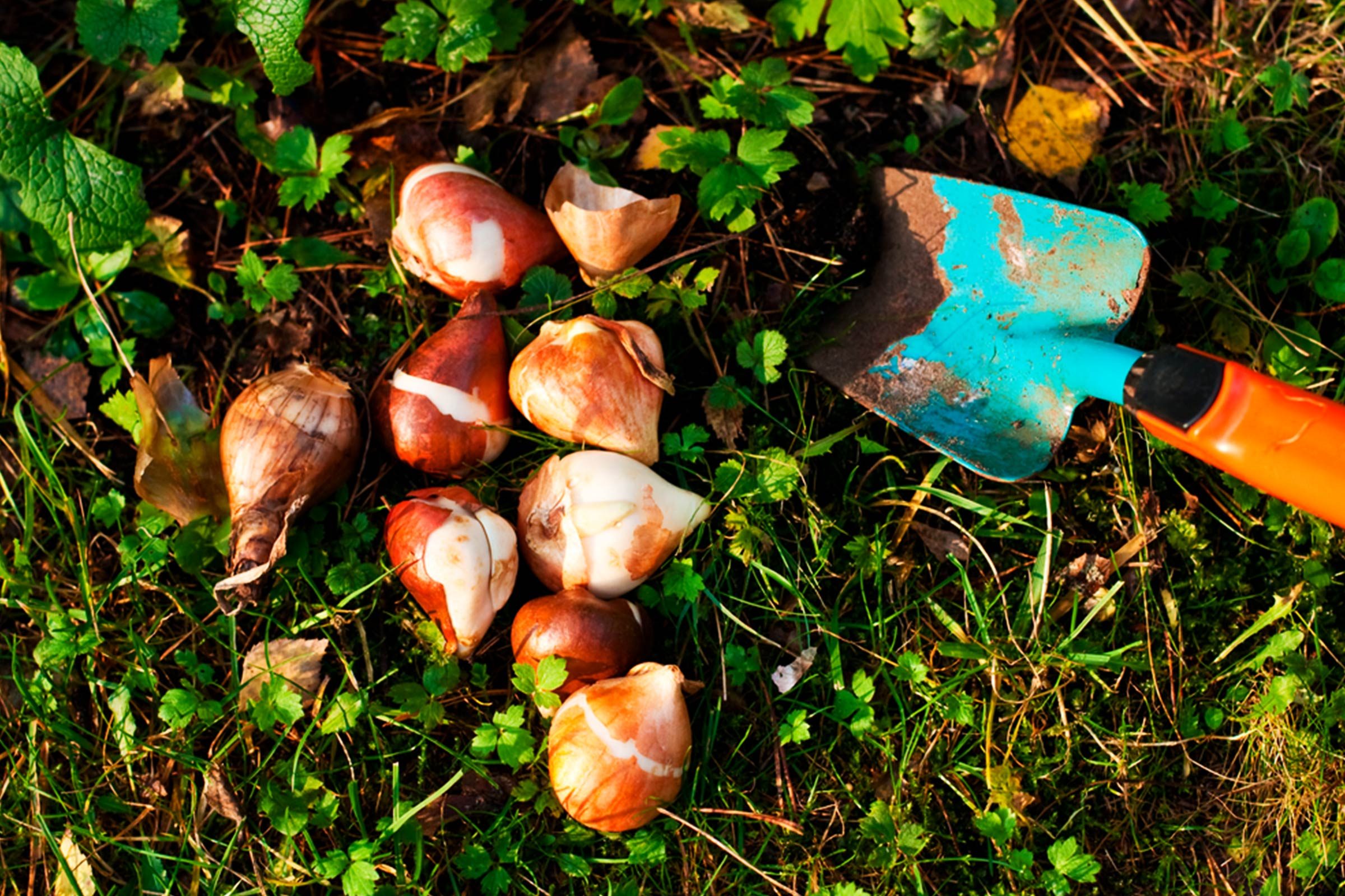 Beyond Apple Picking: 6 Must‑Try Fall Activities