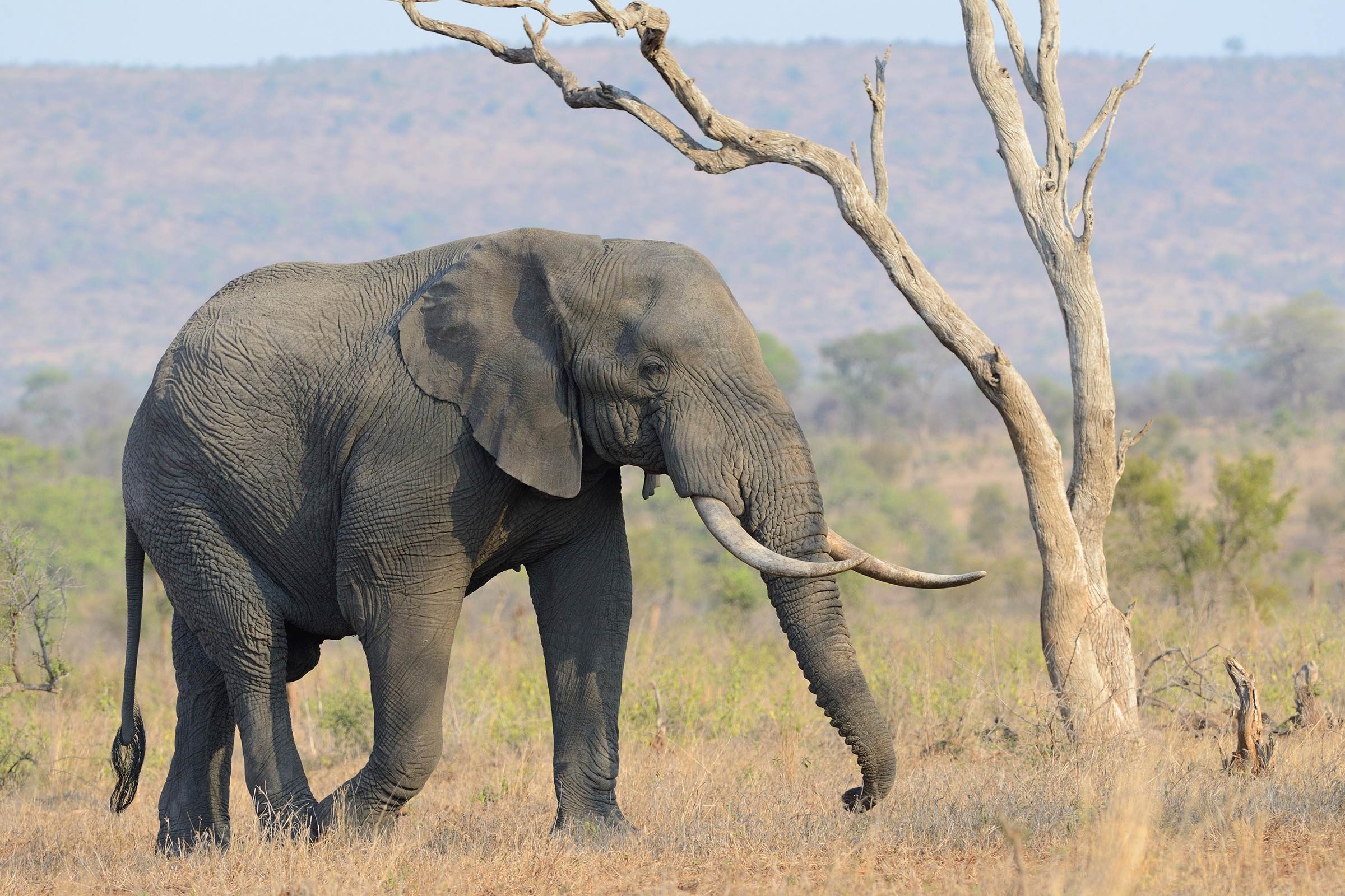 Top 10 Family Vacation Spots Teens Will Actually Love