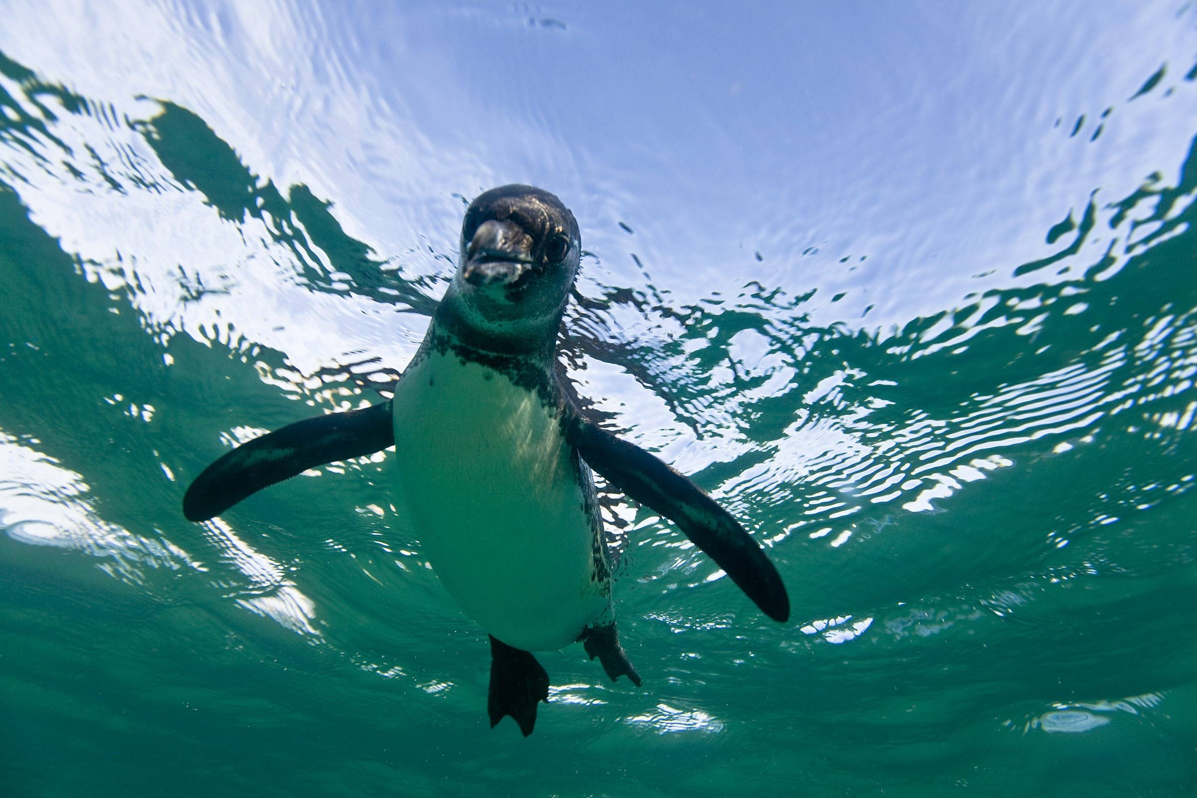 Top 10 Family Vacation Spots Teens Will Actually Love