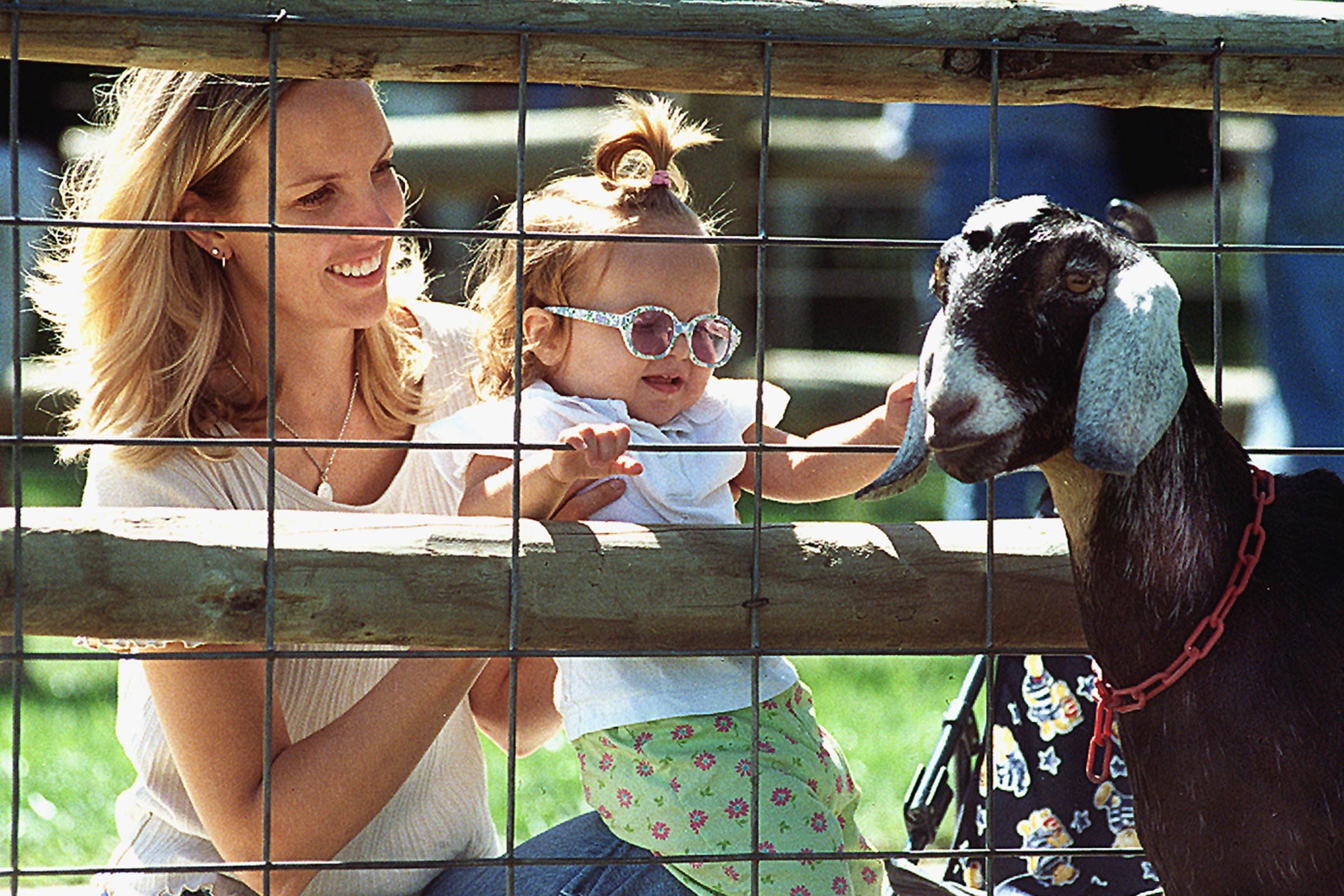 Top 50 Family-Friendly Destinations Across All 50 States