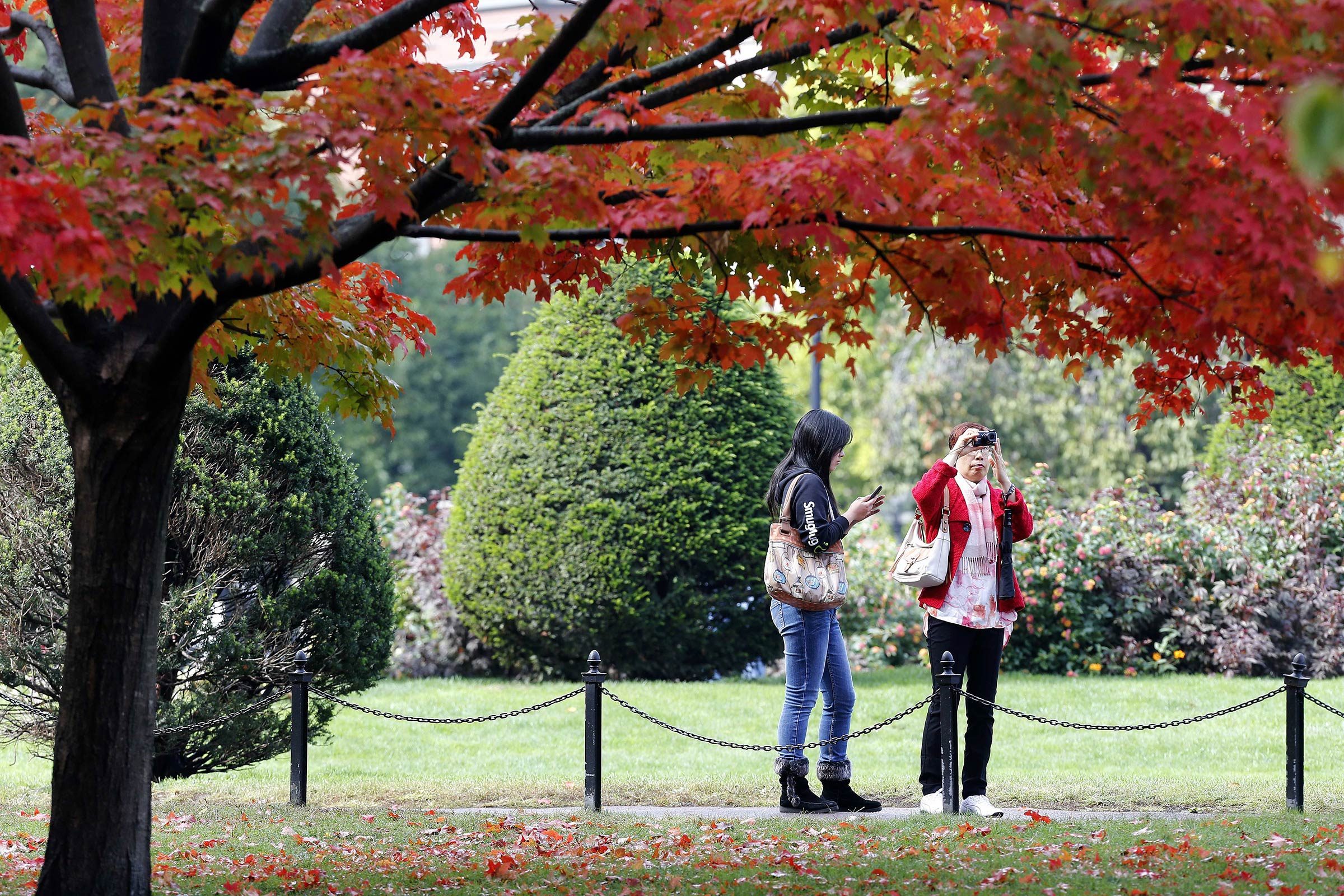 Top 50 Family-Friendly Destinations Across All 50 States