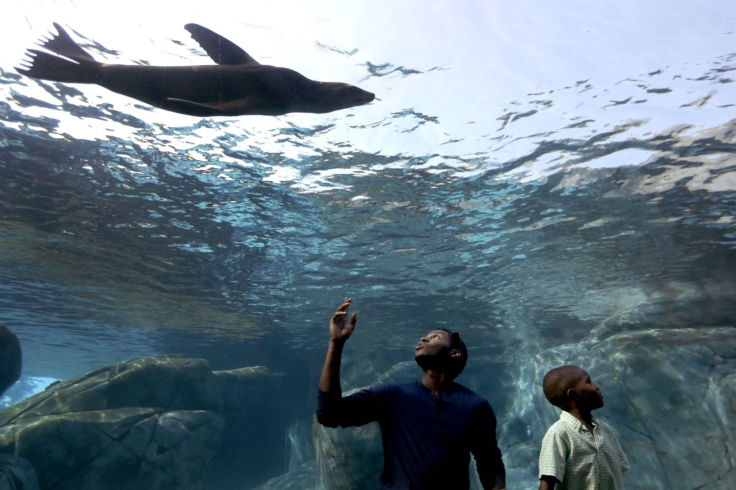 Top 50 Family-Friendly Destinations Across All 50 States