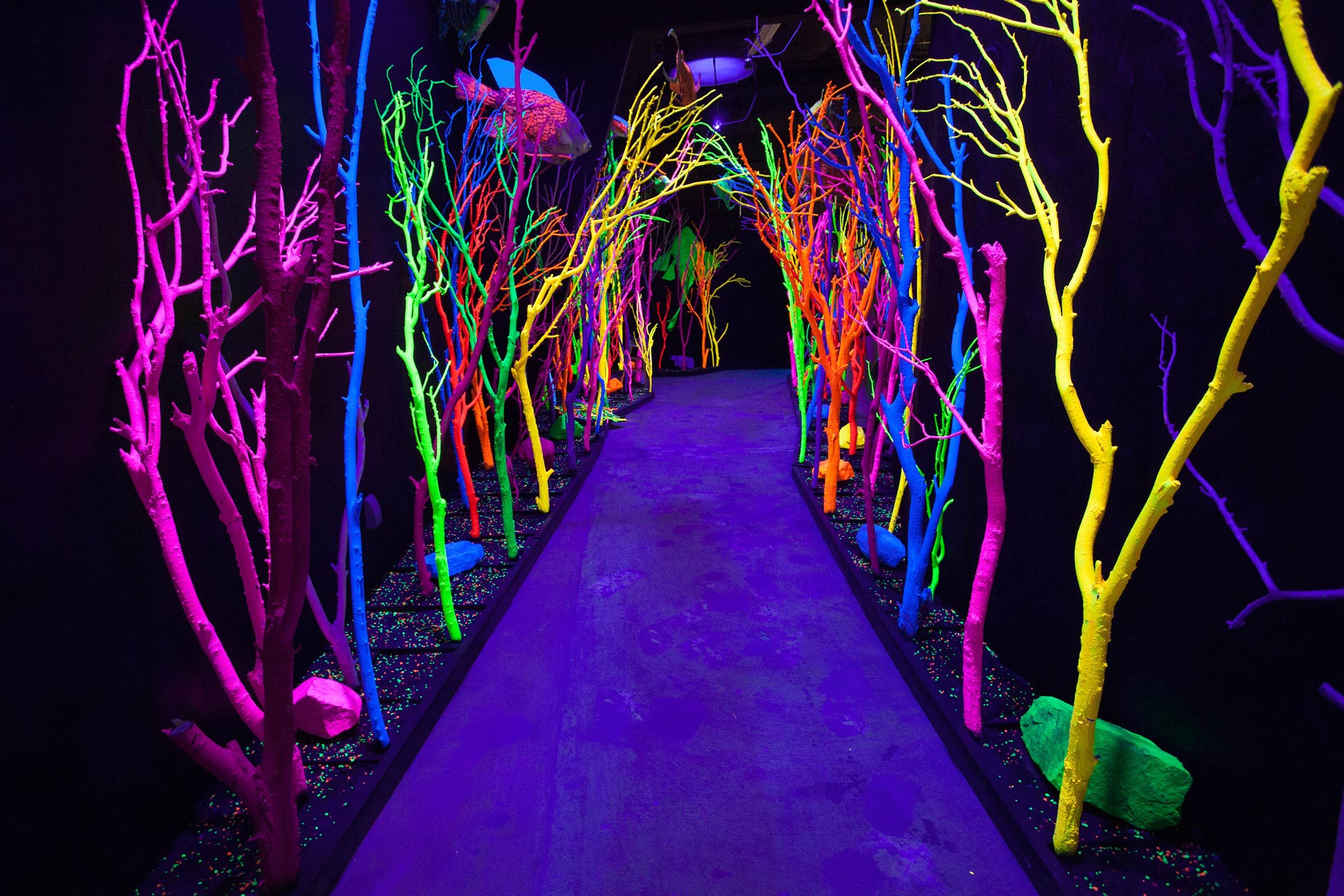 Top 50 Family-Friendly Destinations Across All 50 States