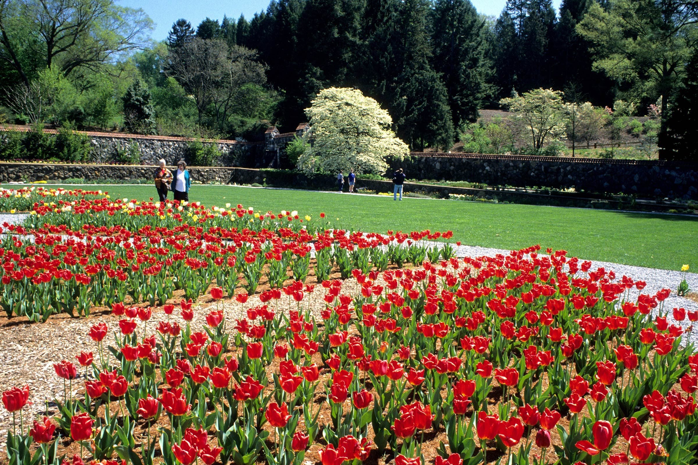 Top 50 Family-Friendly Destinations Across All 50 States