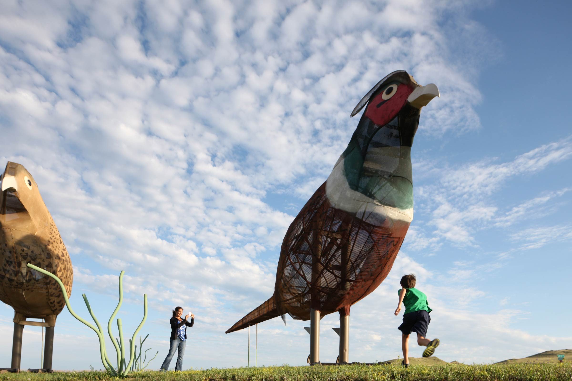 Top 50 Family-Friendly Destinations Across All 50 States