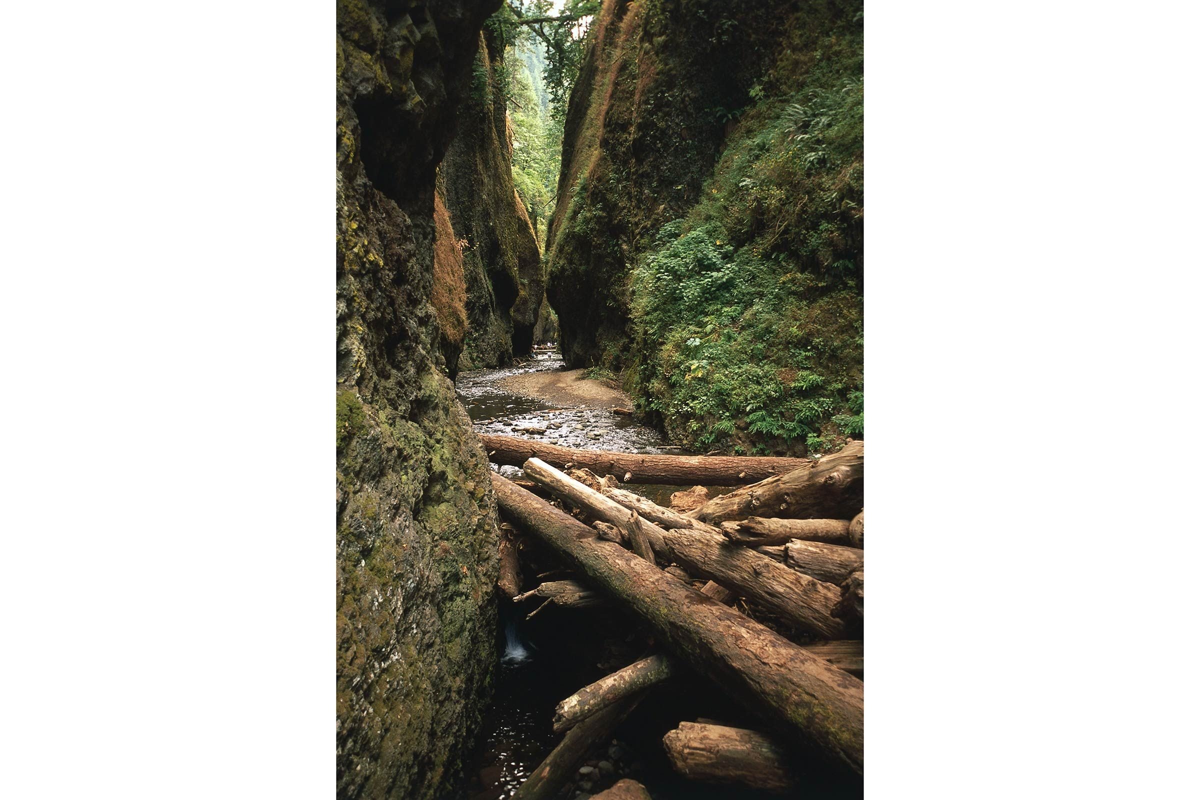 Top 50 Family-Friendly Destinations Across All 50 States