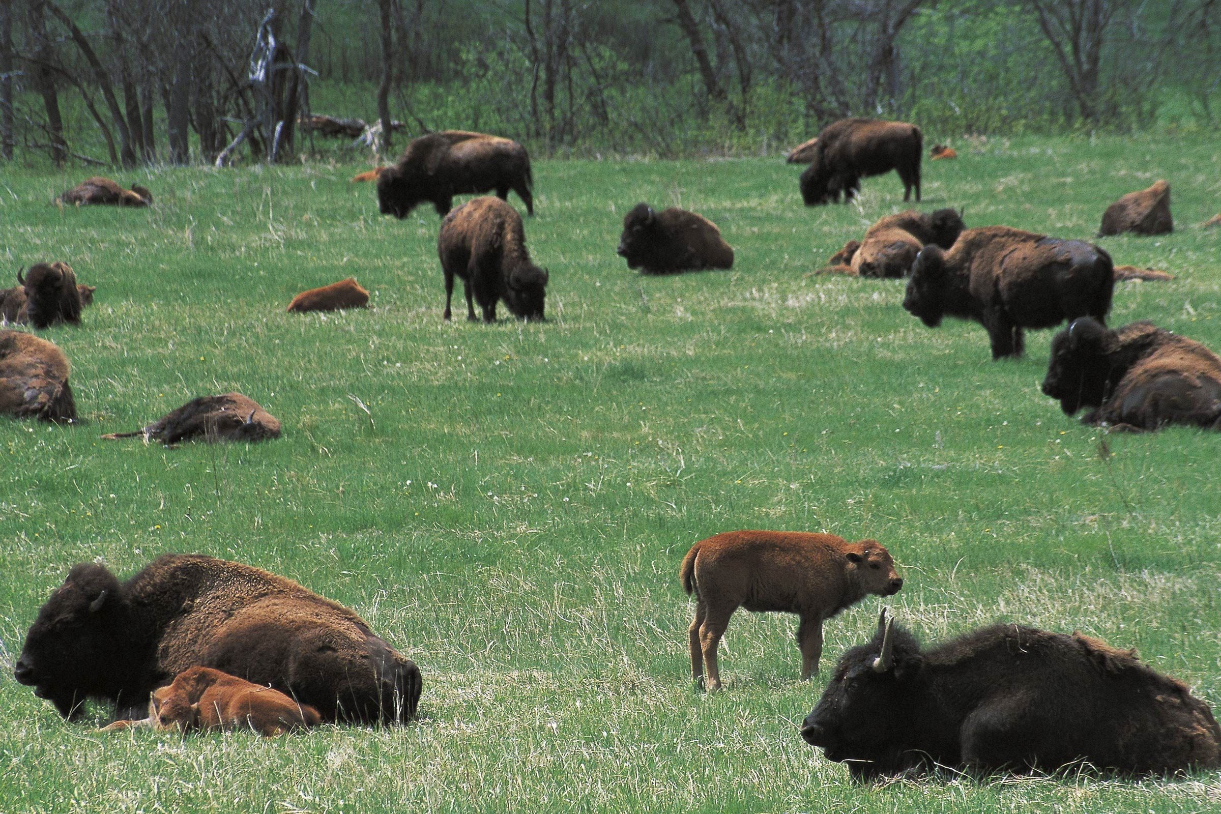 Top 50 Family-Friendly Destinations Across All 50 States