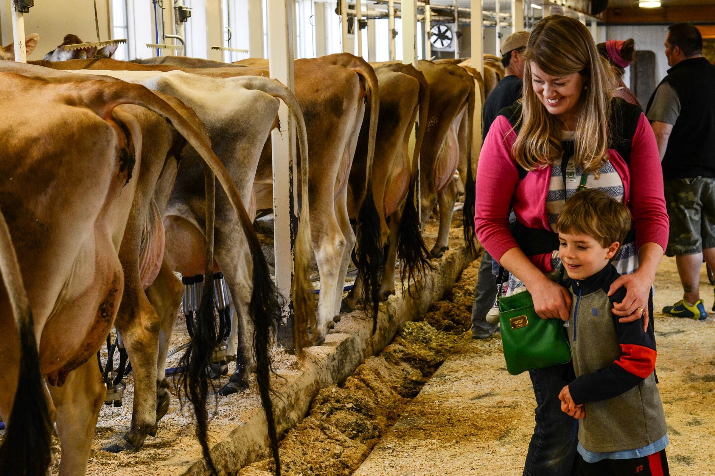 Top 50 Family-Friendly Destinations Across All 50 States