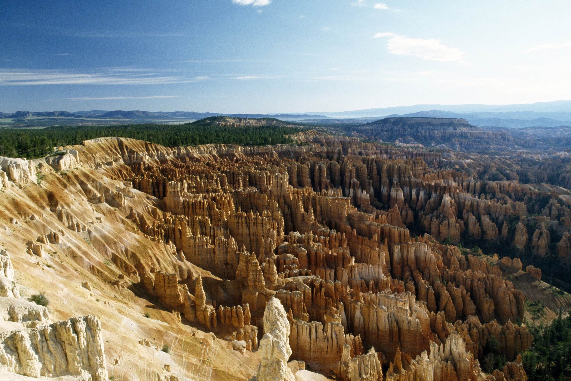 Top 50 Family-Friendly Destinations Across All 50 States