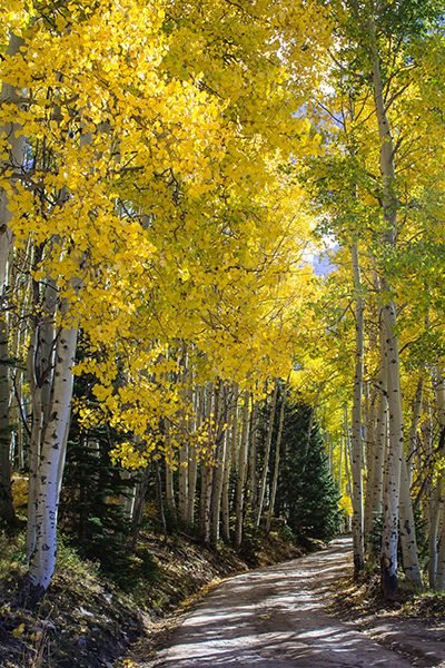 30 Stunning Photos That Capture the Charm of Country Living