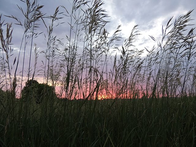 30 Stunning Photos That Capture the Charm of Country Living