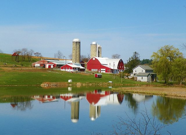 30 Stunning Photos That Capture the Charm of Country Living