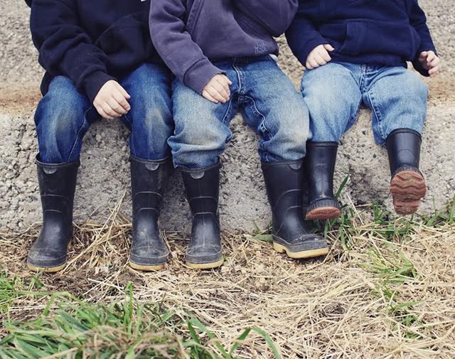 30 Stunning Photos That Capture the Charm of Country Living