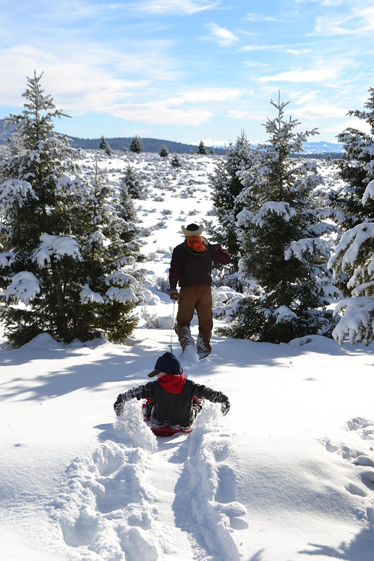 30 Stunning Photos That Capture the Charm of Country Living