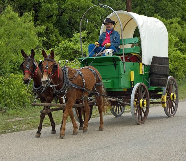 30 Stunning Photos That Capture the Charm of Country Living
