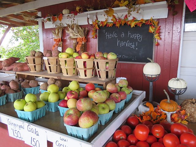 30 Stunning Photos That Capture the Charm of Country Living