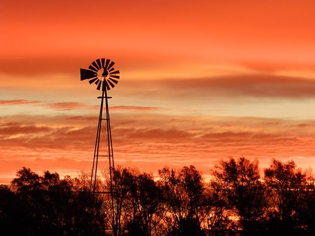 30 Stunning Photos That Capture the Charm of Country Living