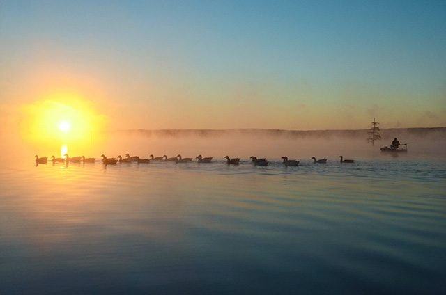 30 Stunning Photos That Capture the Charm of Country Living