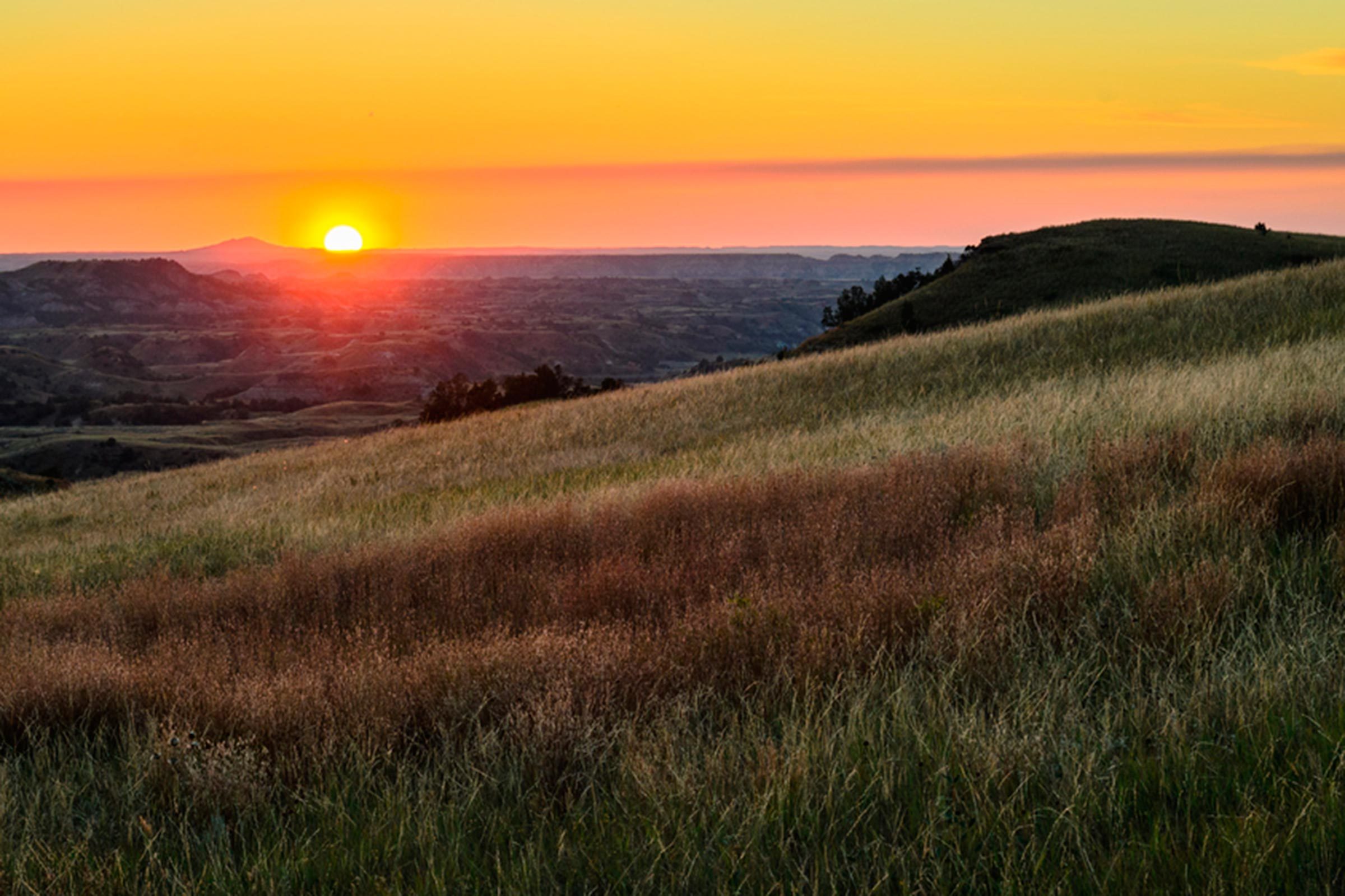 Discover the 10 Happiest States in America—Is Your State Among Them?