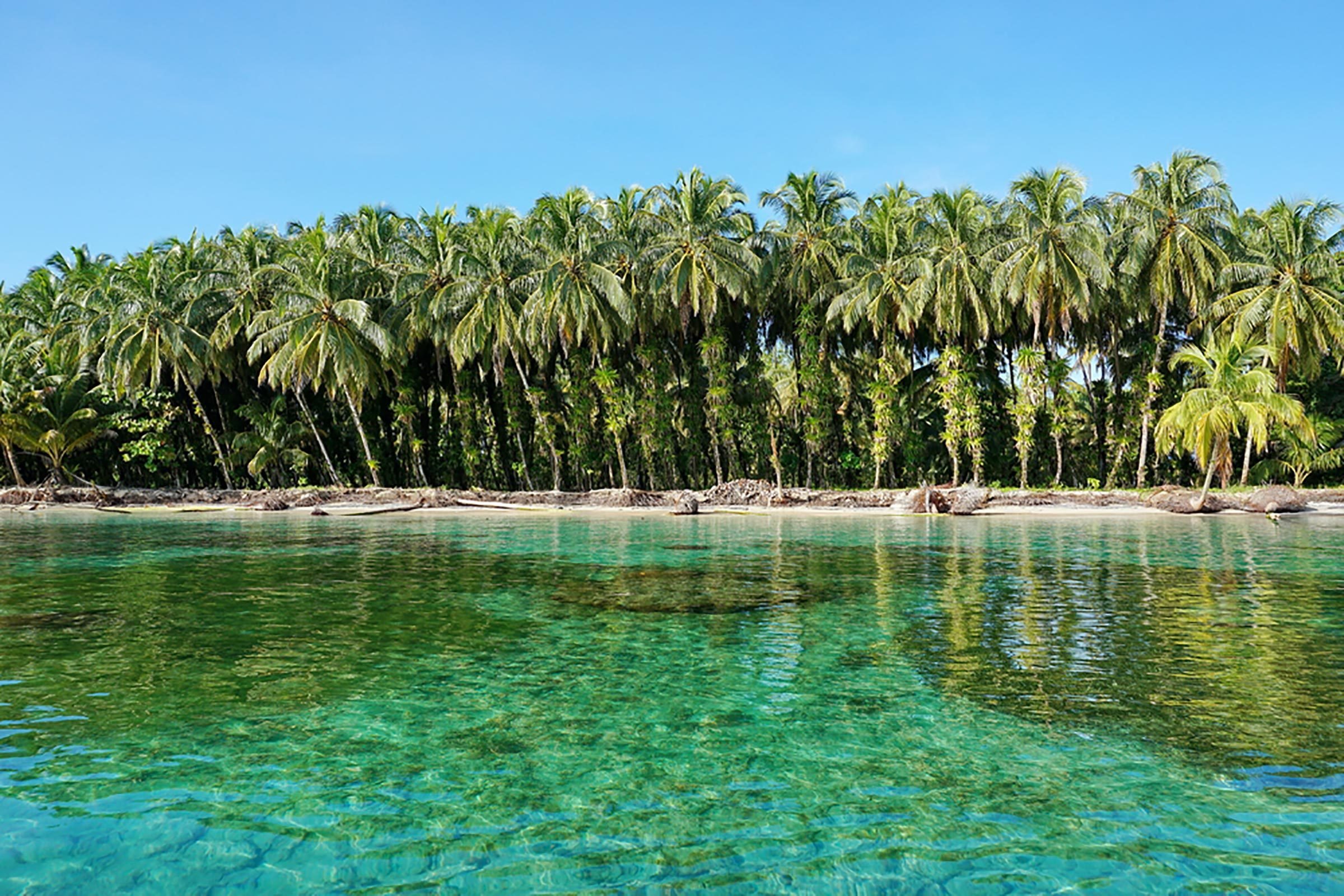 Top 8 Sunny Islands to Book for Christmas, Including Private Island Retreats