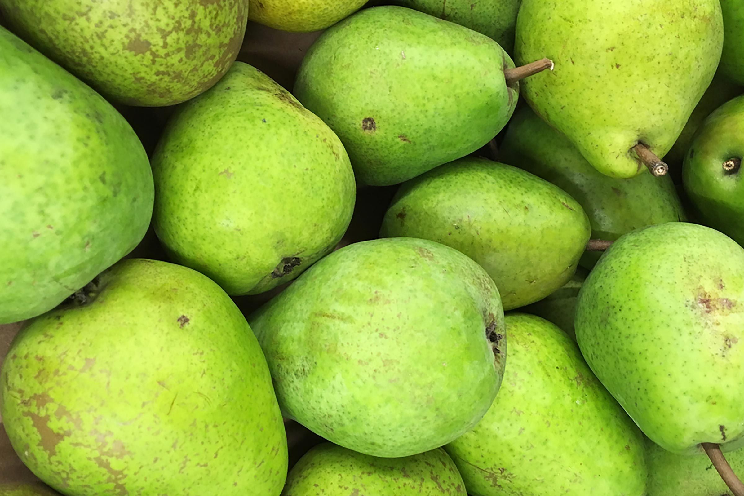 10 Unique Japanese Attractions You Won’t Find Anywhere Else