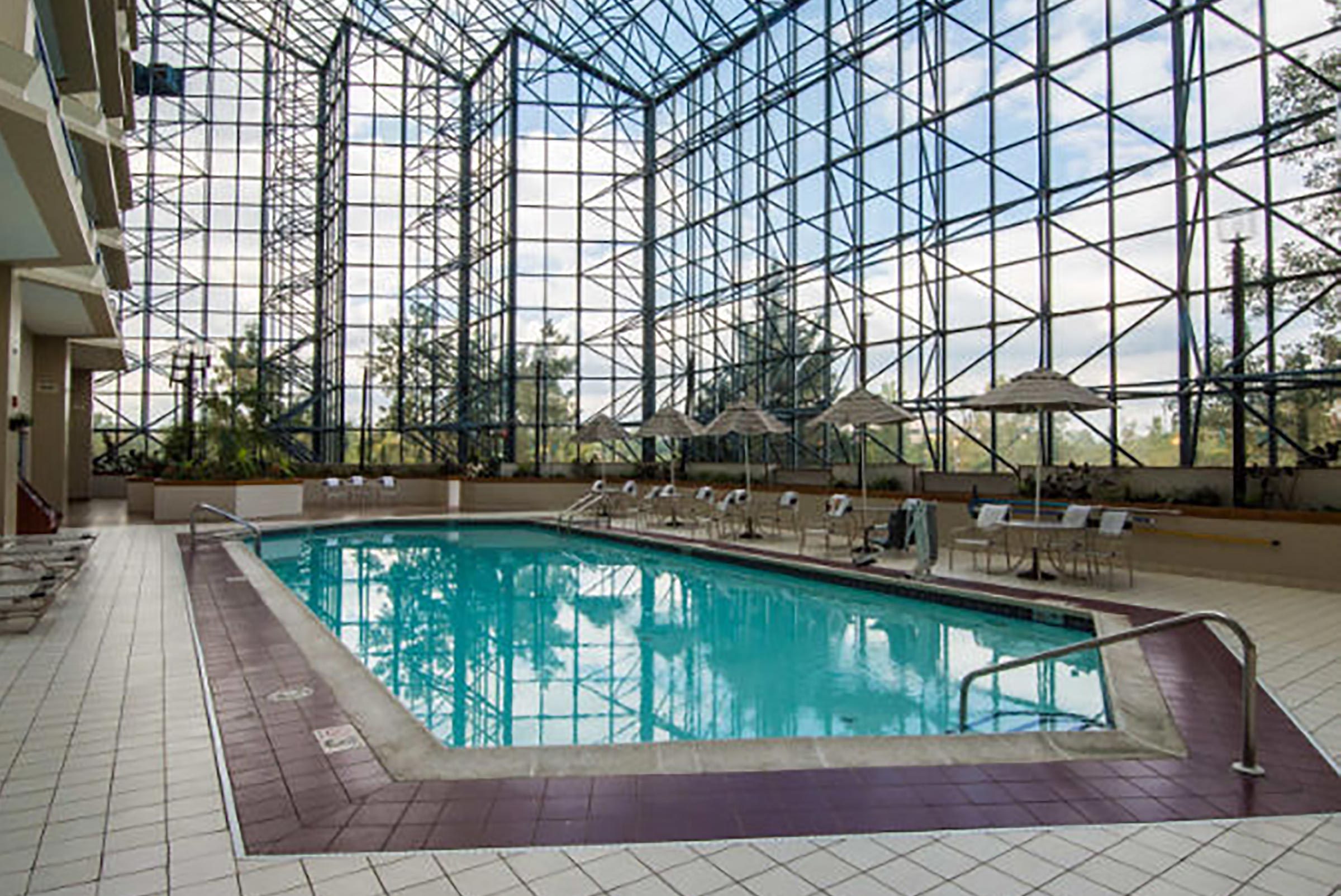 11 Airport Pools You Can Swim In During Layovers