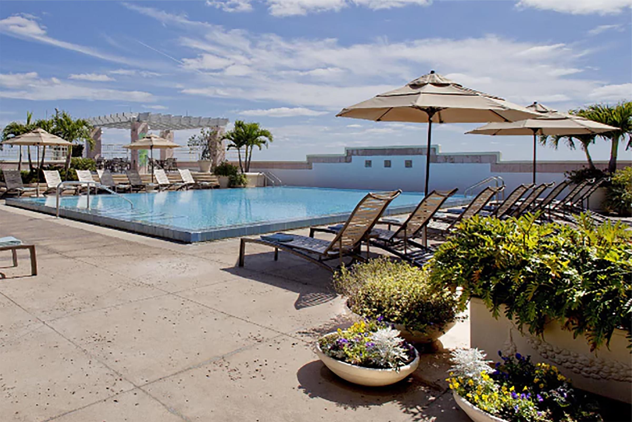 11 Airport Pools You Can Swim In During Layovers