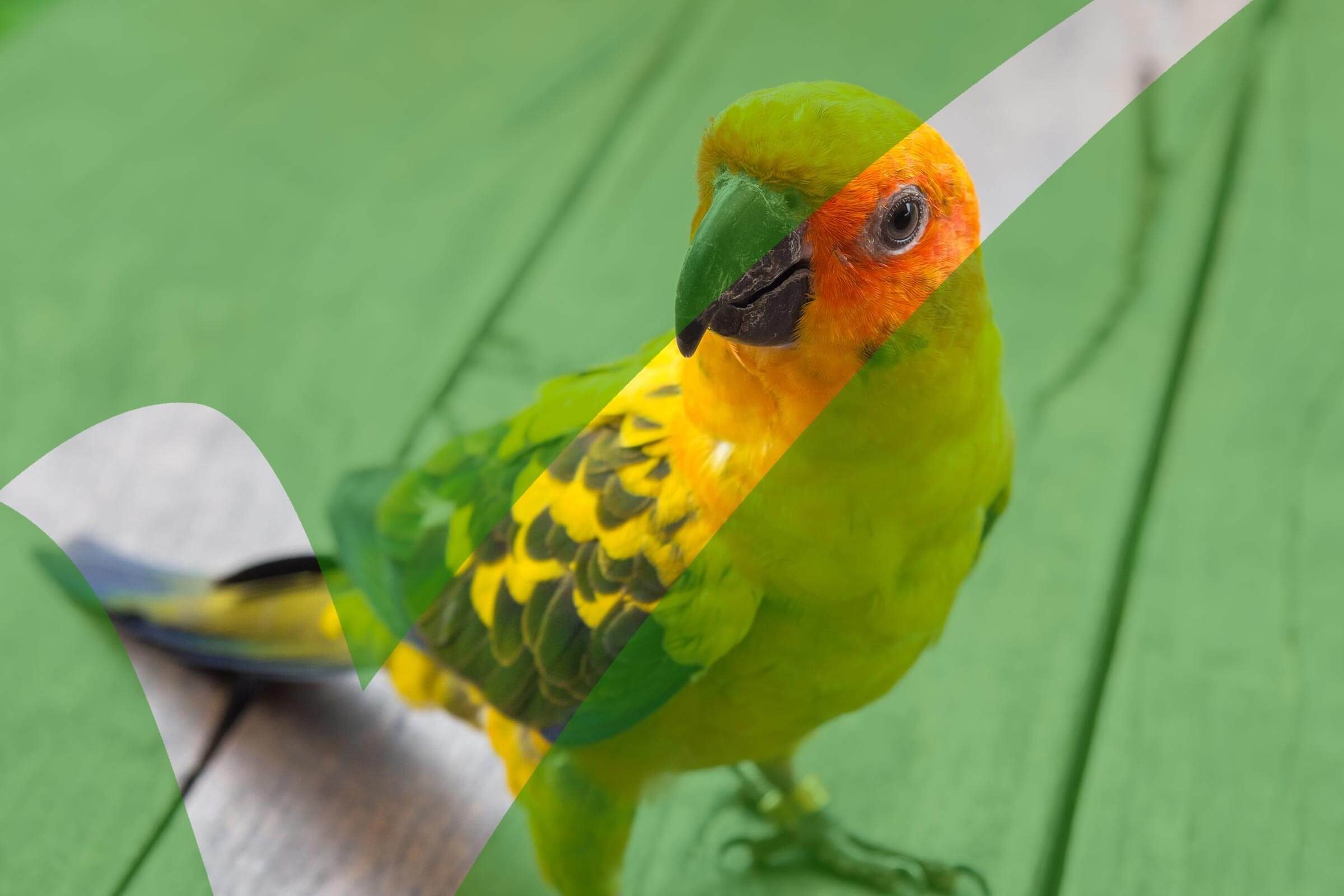 7 Essential Carry‑On Items for Travelers—and 4 Things You Should Avoid