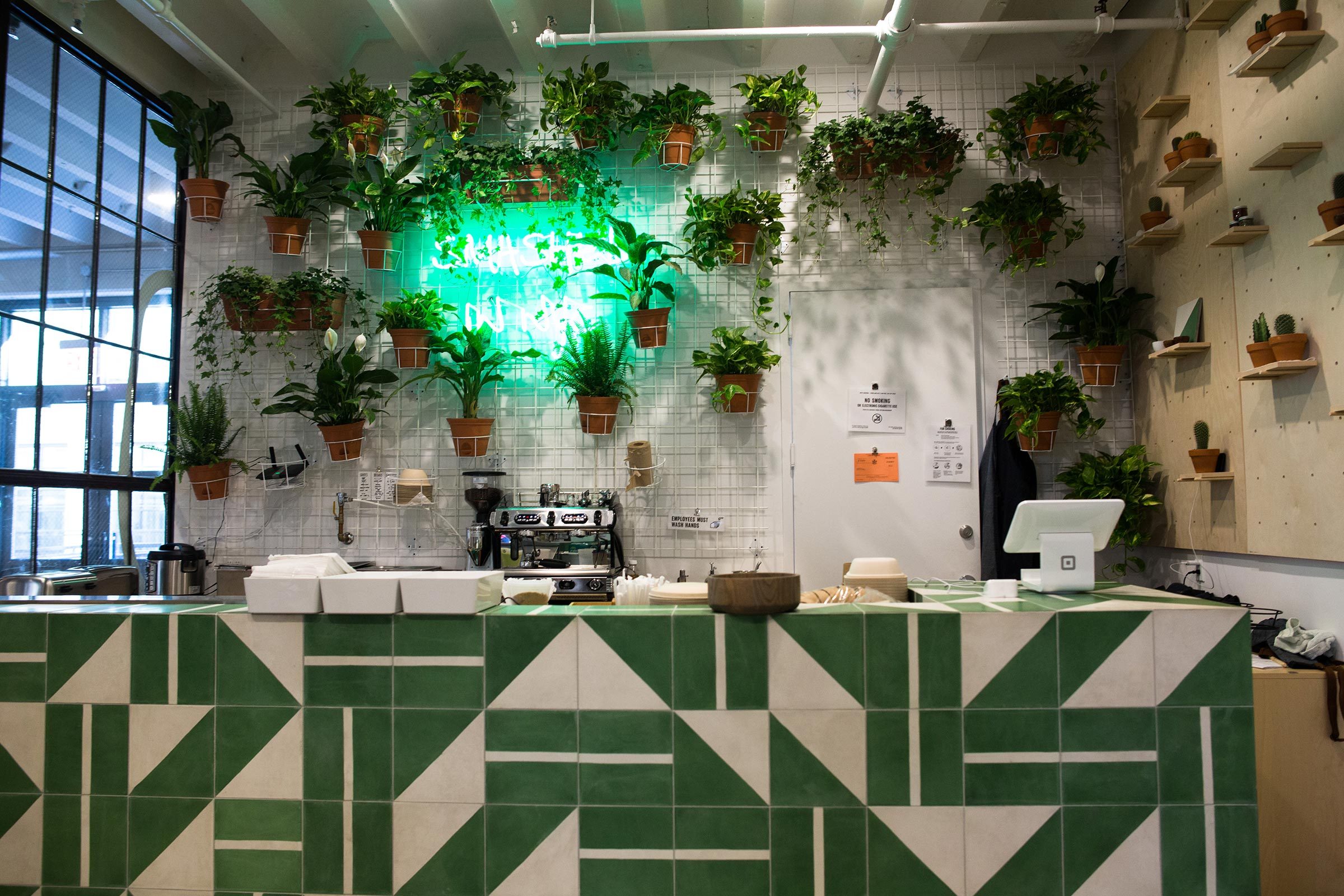 Top 5 Avocado‑Inspired Restaurants You Must Visit