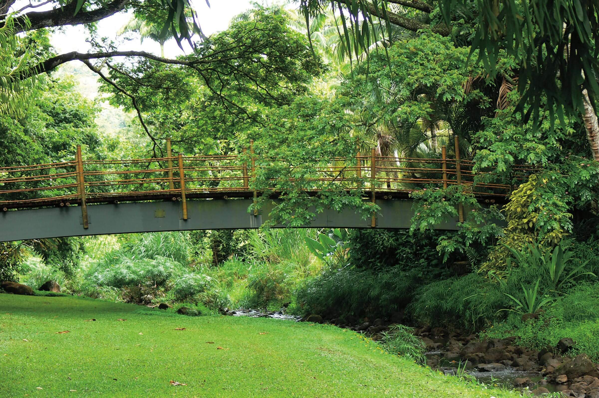 Explore 14 Stunning Hidden Bridges Across America