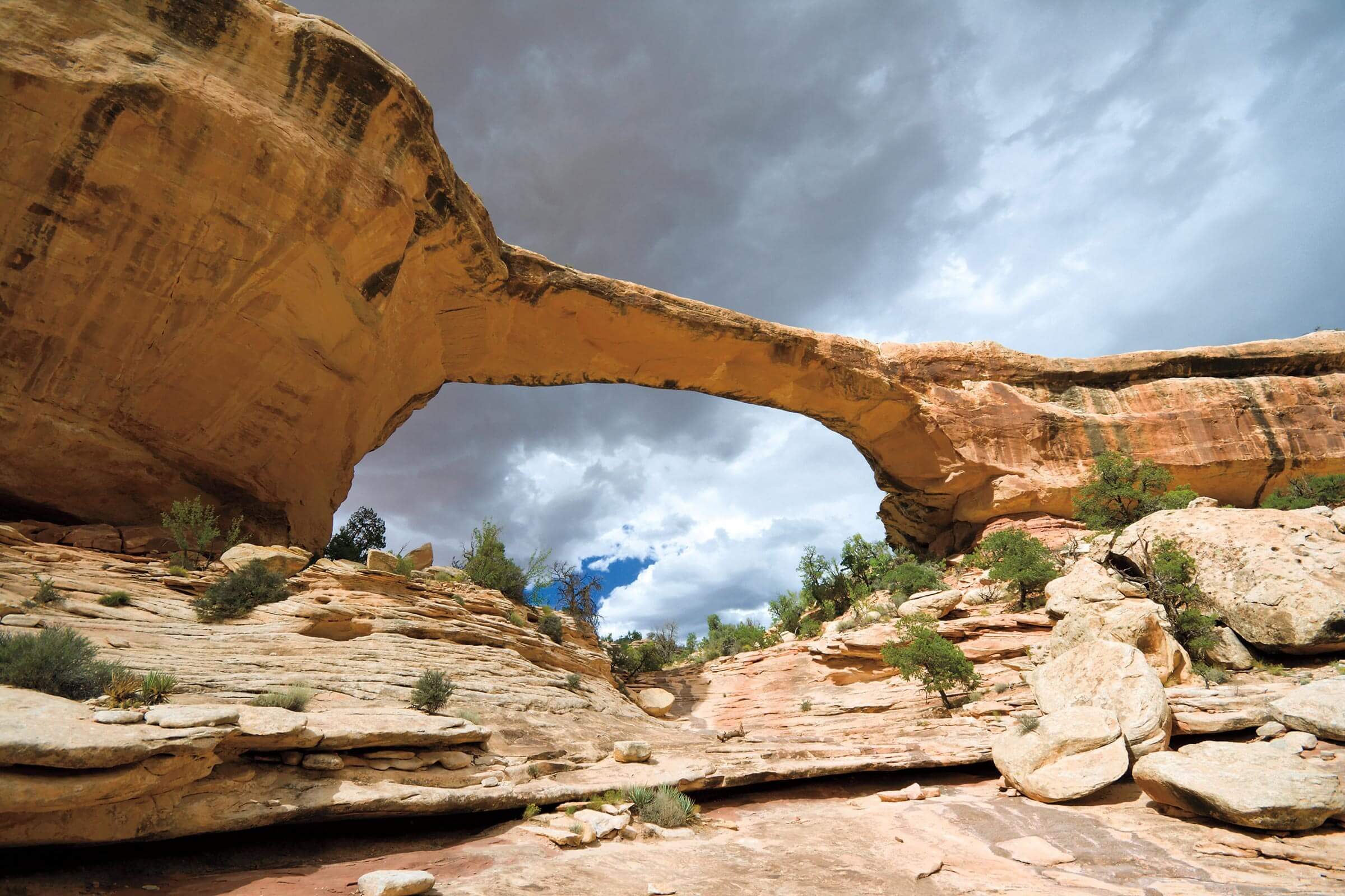 Explore 14 Stunning Hidden Bridges Across America