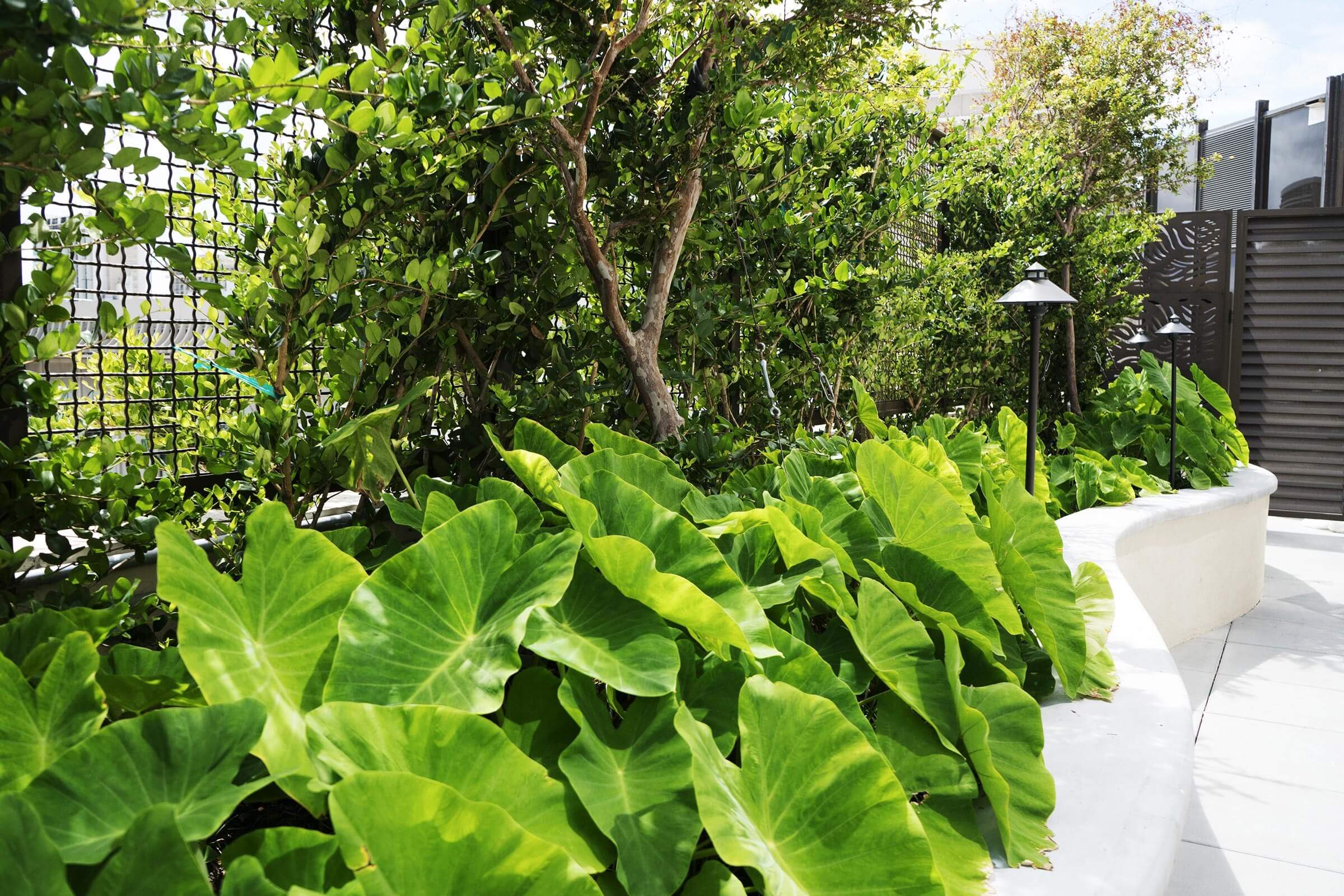 Top 11 Thrilling Destinations for Adventure Seekers