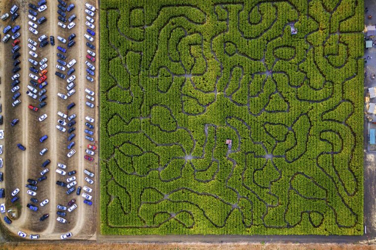Explore 9 Unforgettable Mazes Around the World
