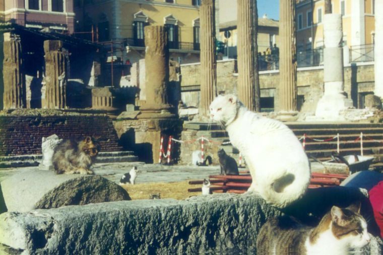 Top 7 Hidden Roman Gems You Must Experience