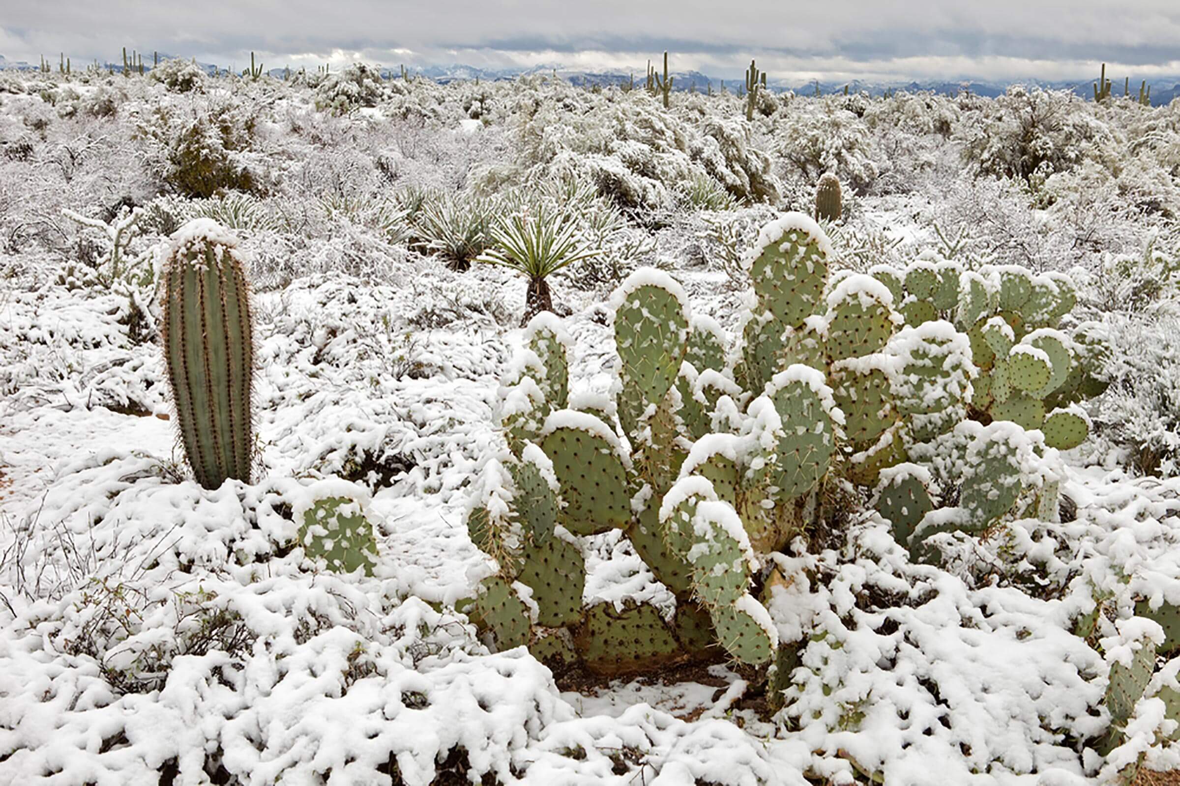 8 Unexpected Places That Have Been Covered in Snow